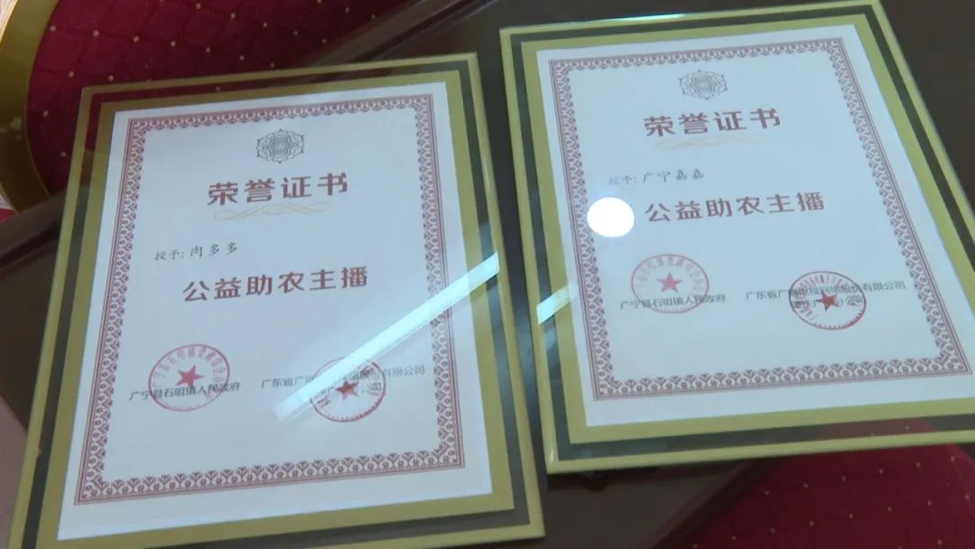 廣東廣電網(wǎng)絡(luò)：智慧廣電網(wǎng)絡(luò)平臺，開啟廣寧農(nóng)產(chǎn)品銷售新格局