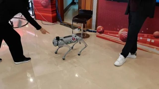 聚焦二十大，各廣電推出了哪些融媒體作品？